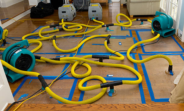 Professional Storm Water Damage Restoration technician working in Friant, CA